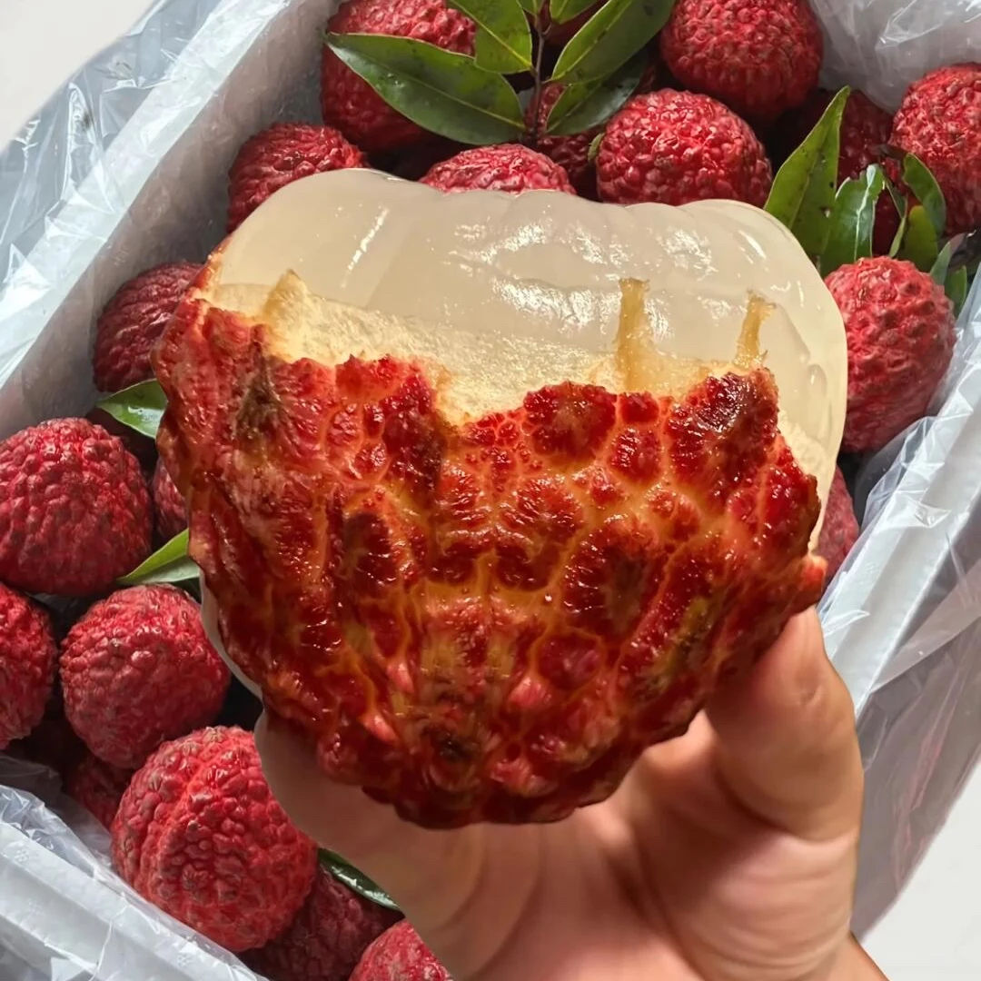 【荔枝王-顺丰现货】海南火山口荔枝王当季新鲜水果带箱1-5斤多仓发