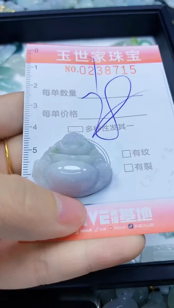 翡翠未镶嵌颈饰闪购0238715