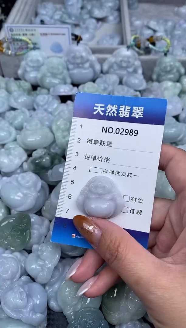 颈饰未镶嵌翡翠纯天然A货翡翠2989