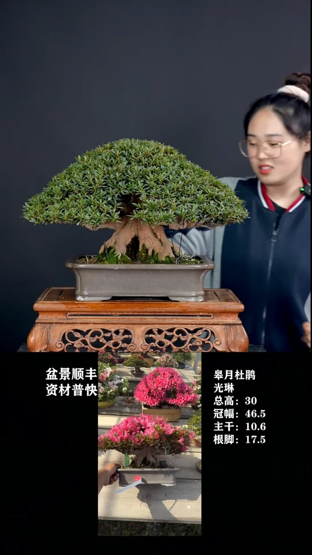 无花朵h*j光琳-G664