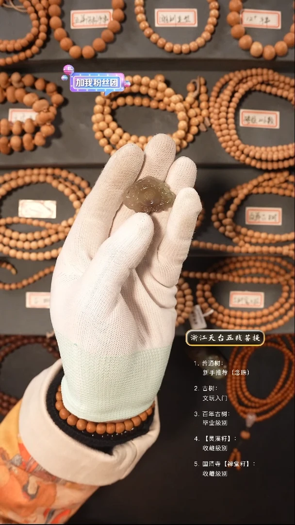 【闪购商品】五线菩提吊坠手串