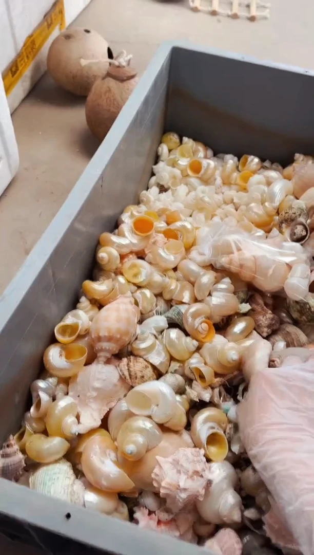 微微微瑕壳壳2包装