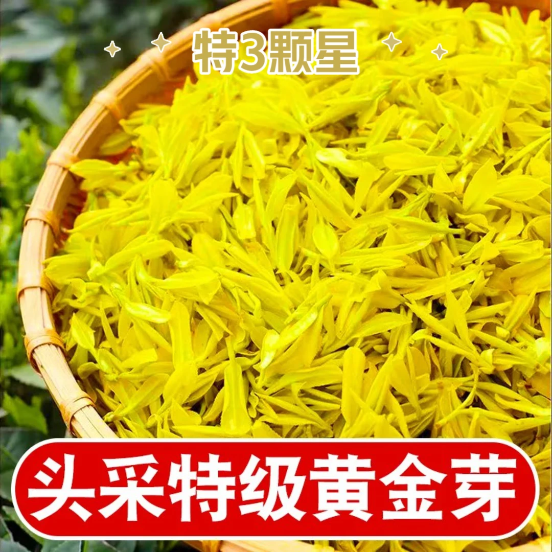 2025新茶头采特级黄金芽特3颗星正宗浓香型正品高档绿茶礼盒罐装