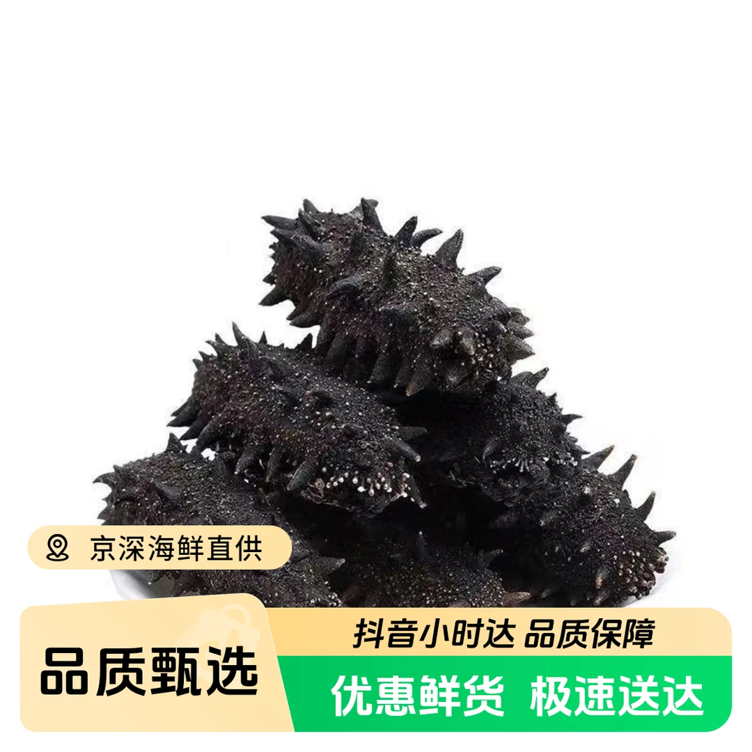 500g10只装大连即食海参高压刺参辽参营养丰富