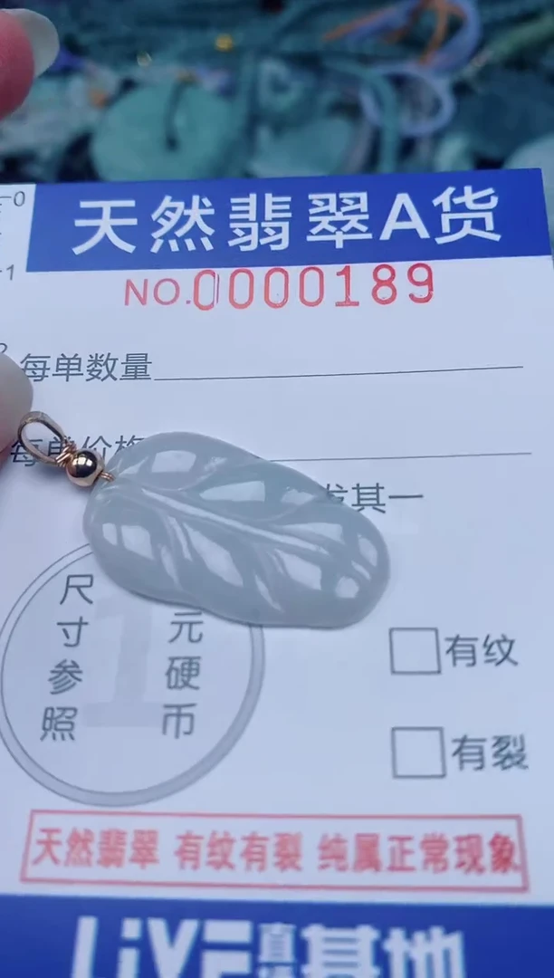 颈饰未镶嵌翡翠00000189