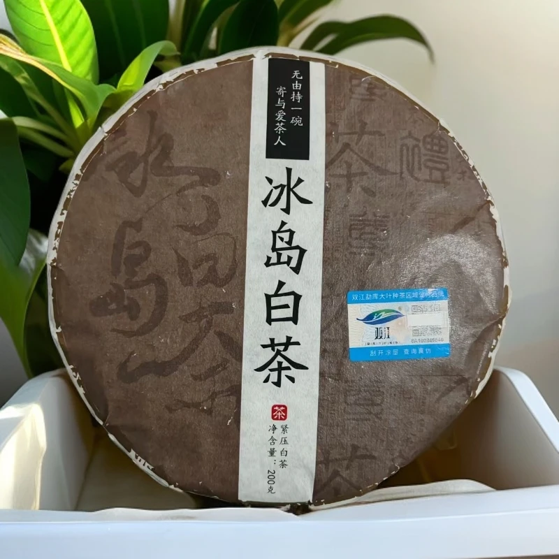 2024年【冰岛白茶】润 香甜润顺滑 白茶