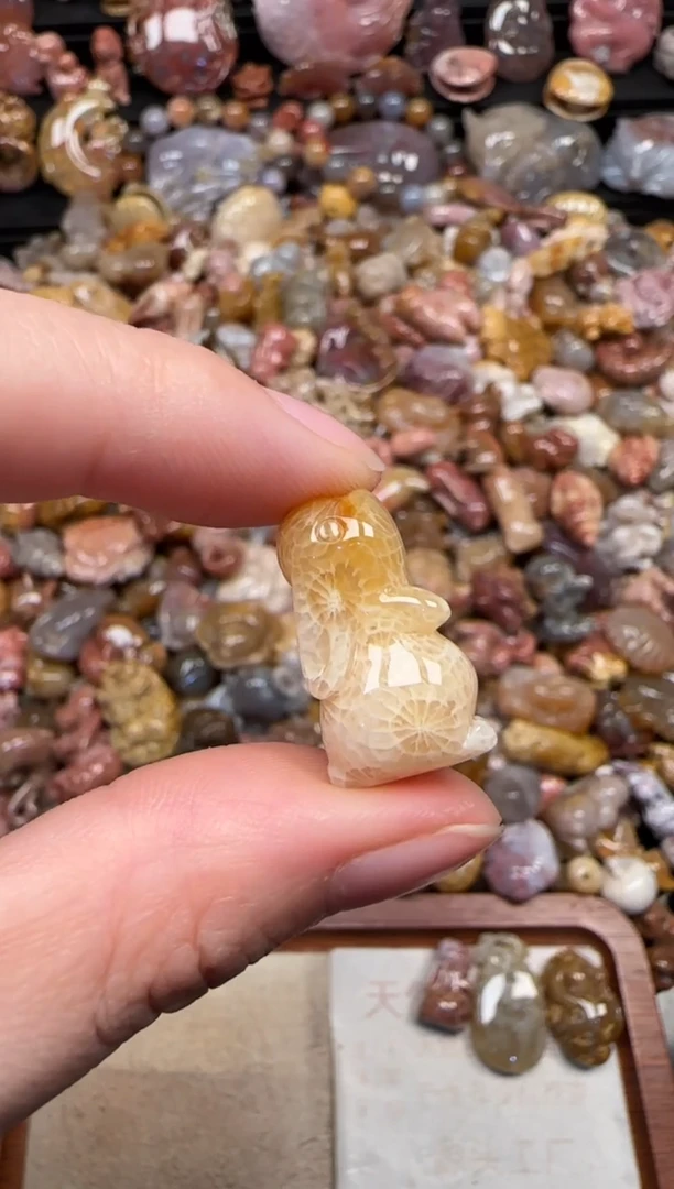 颈饰未镶嵌硅化珊瑚（珊瑚玉）621