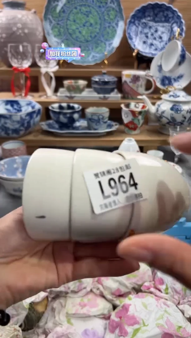 瓷片复***菜     L964