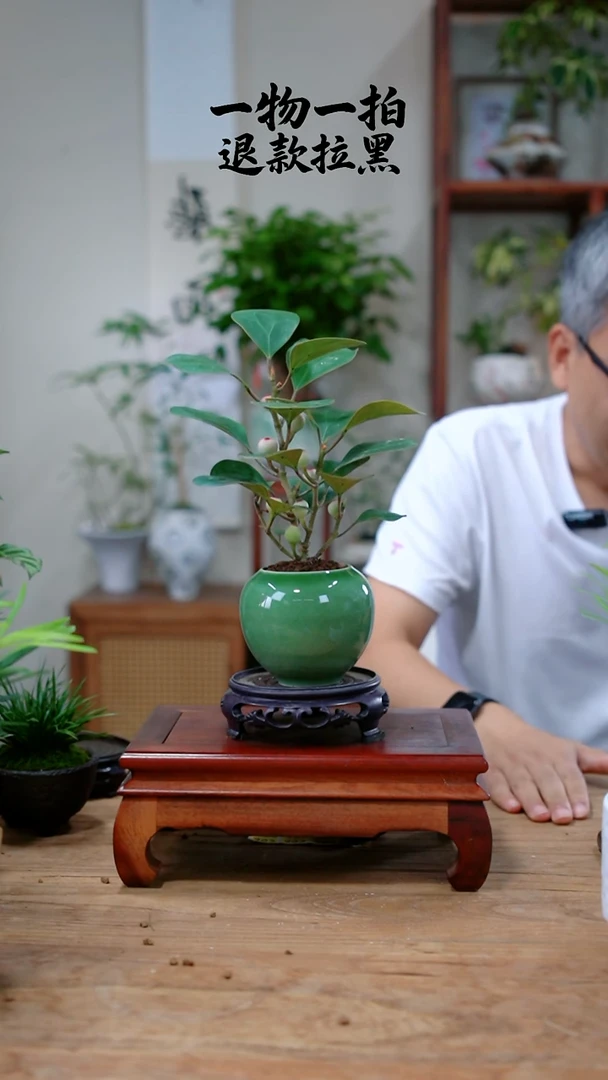 完全开放岑****馆菩提428