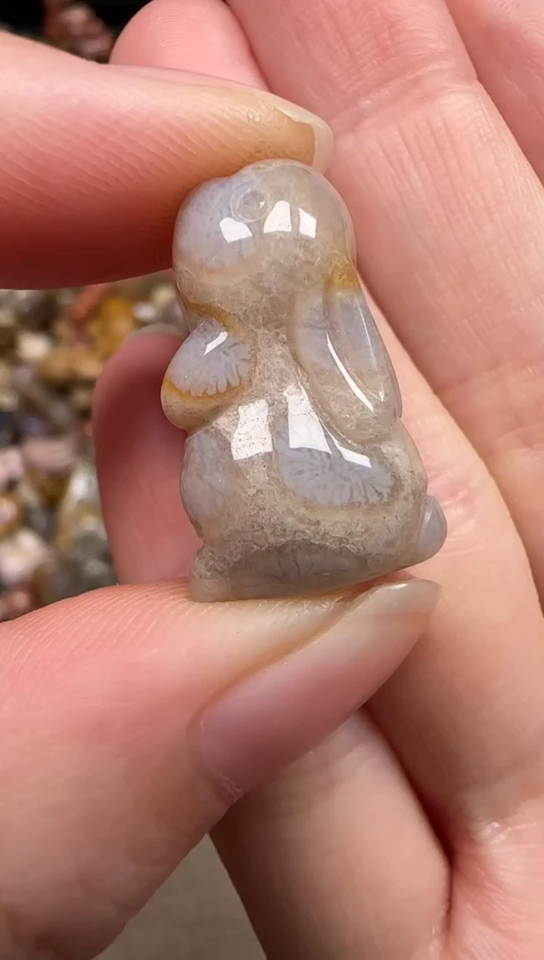 硅化珊瑚（珊瑚玉）未镶嵌颈饰475