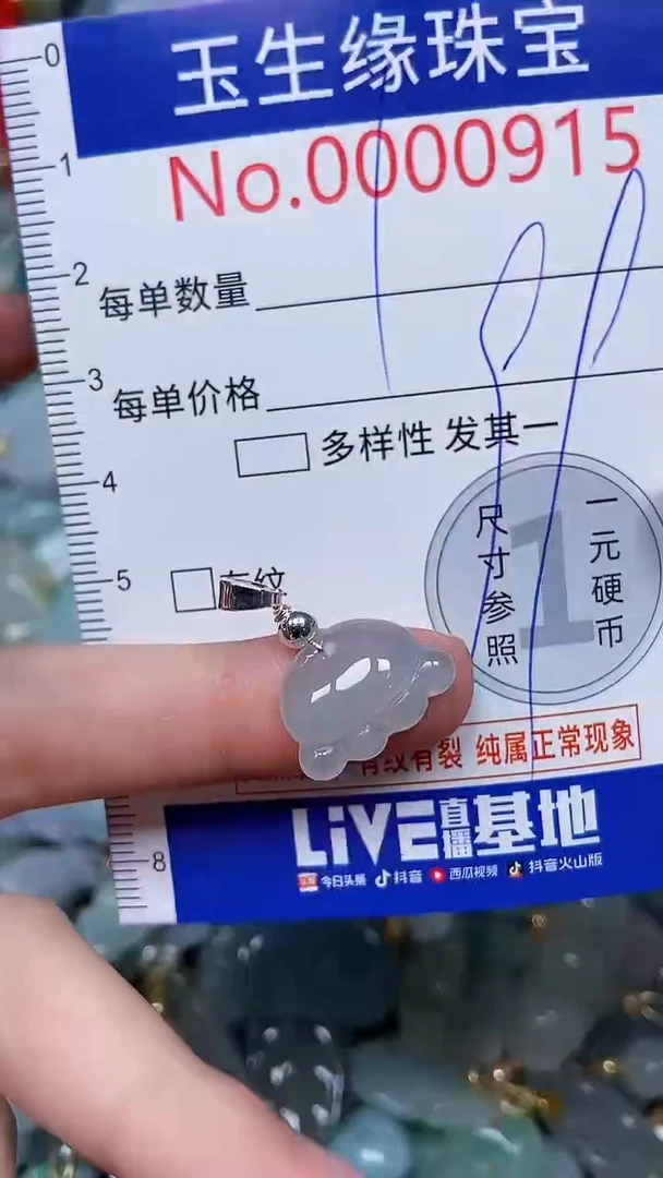 【闪购商品】翡翠颈饰未镶嵌闪购0000915