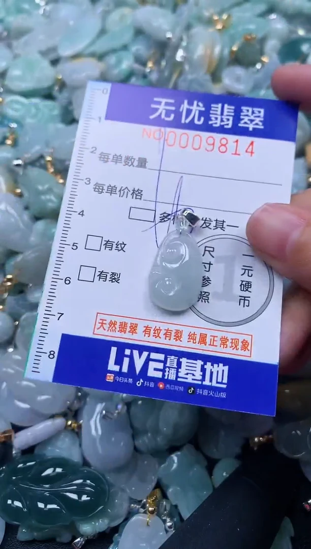 颈饰未镶嵌翡翠9814