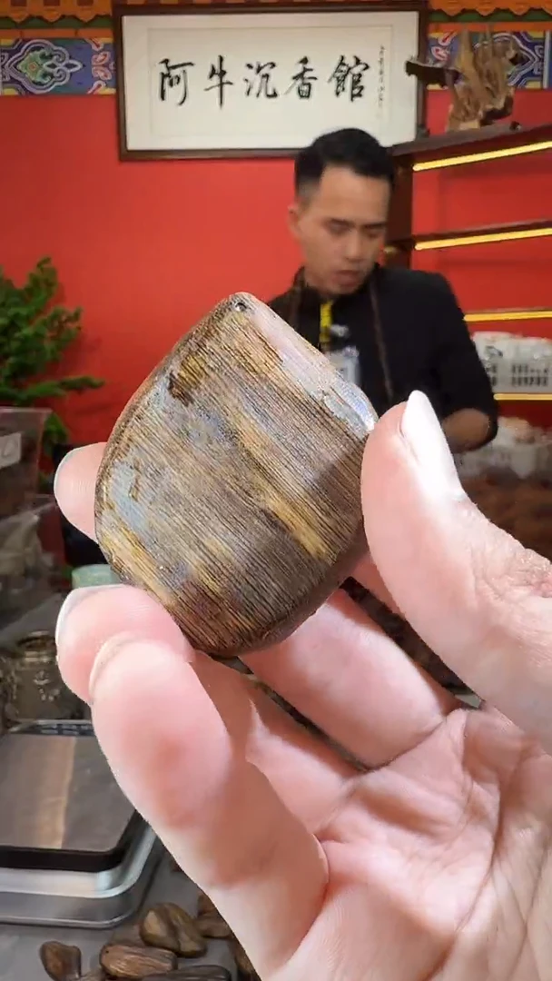 沉香吊坠88号海南黎母山多样性发一
