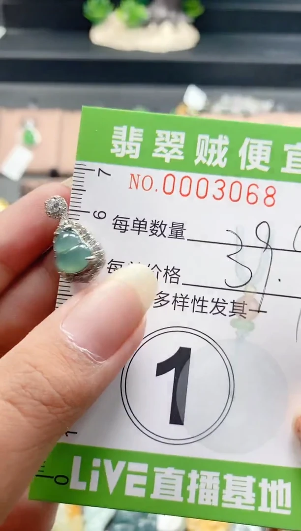 翡翠未镶嵌颈饰C闪购0003068