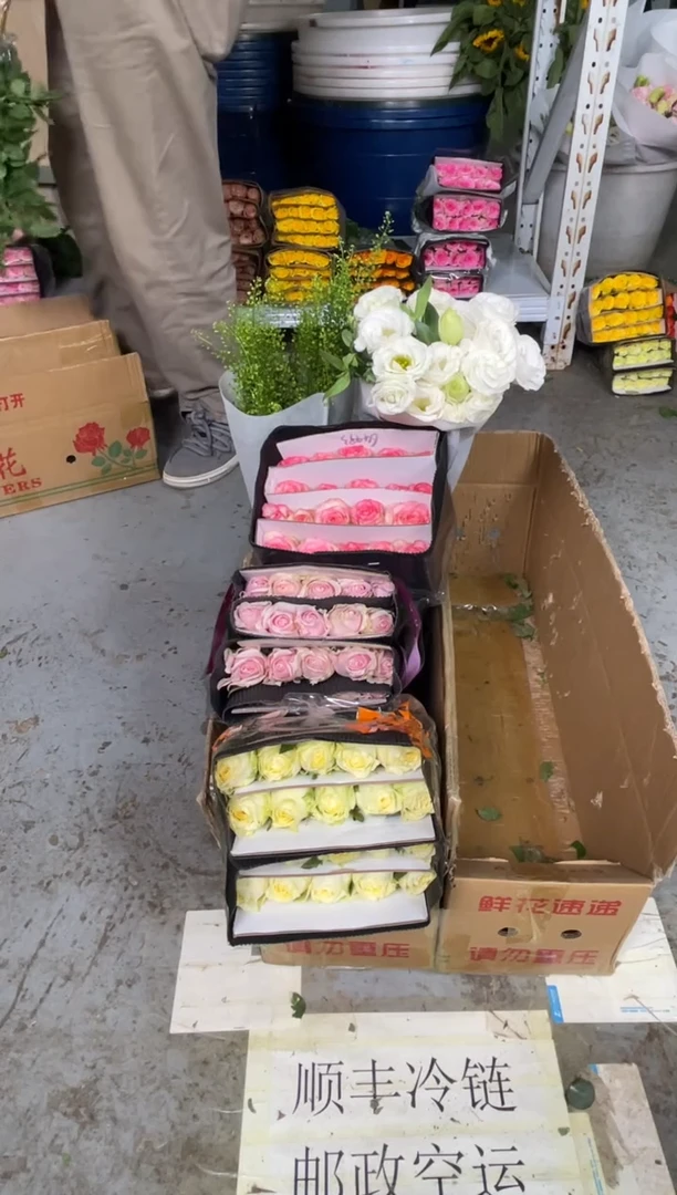 奶油杯20枝+粉红雪山20枝+爱莎20枝+白桔梗400克+绿林草