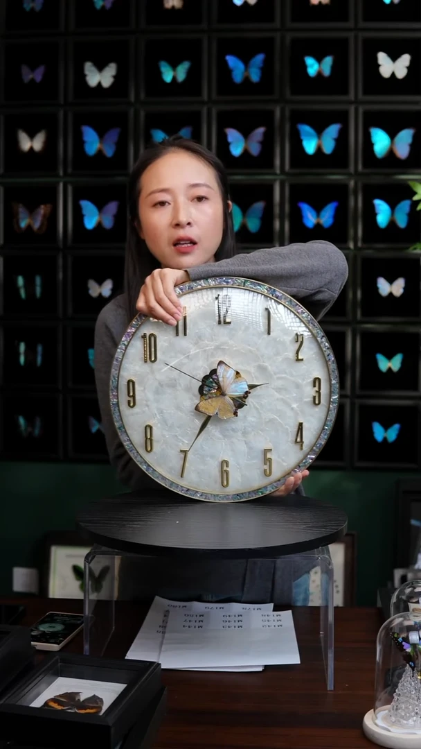 蝴蝶标本摆件竞拍M142