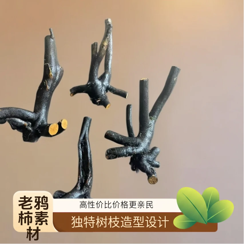 老鸦柿生桩熟桩小老桩庭院盆景素材可嫁接练手款原生盆栽