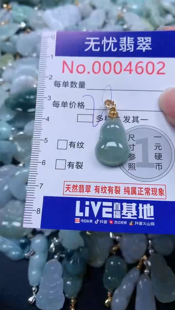 颈饰未镶嵌翡翠4602