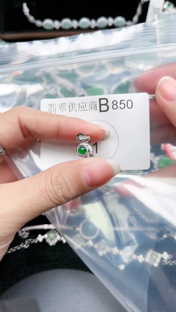 【闪购商品】翡翠颈饰未镶嵌赠皮绳850