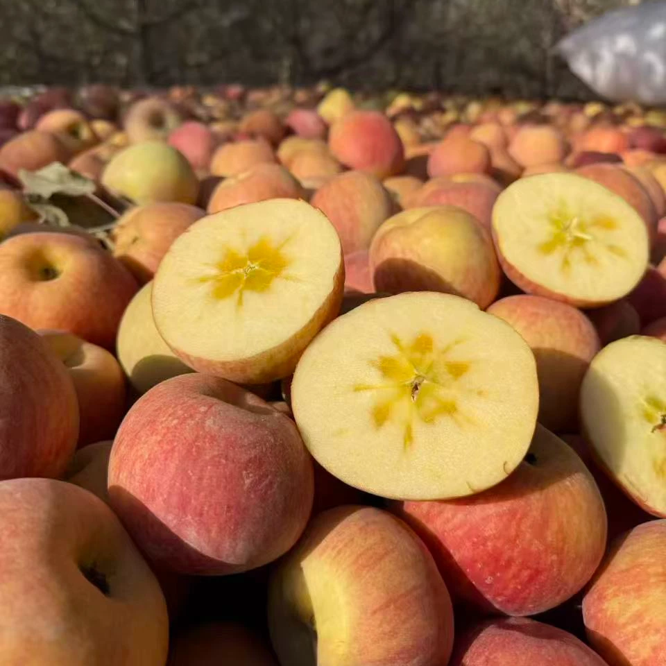 S新疆阿克苏苹果冰糖心苹果