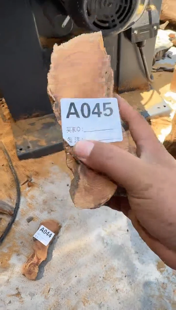 柏木太行陈化崖柏一片随机发45