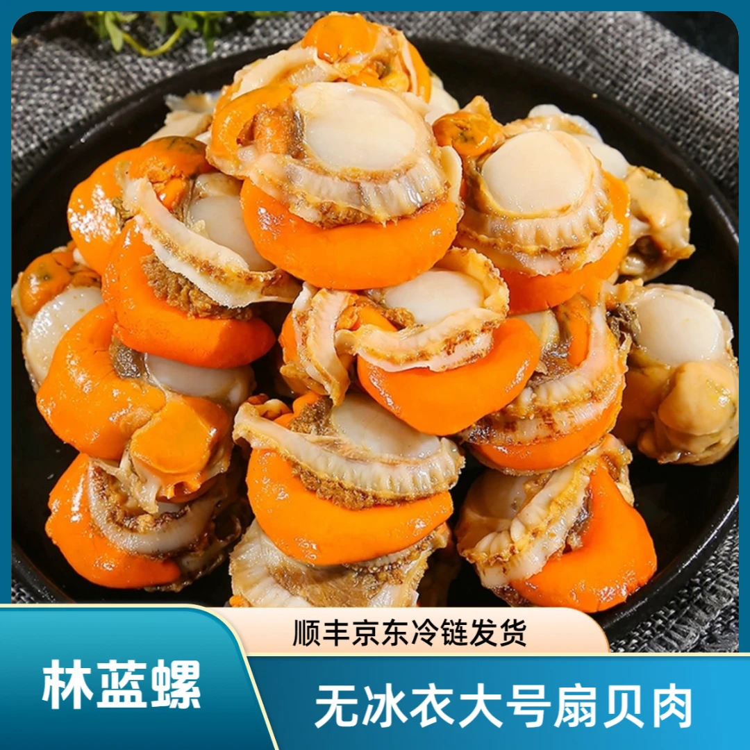林蓝螺大号扇贝250g/袋【试吃1袋】无泥无沙纯扇贝肉母带黄速冻z