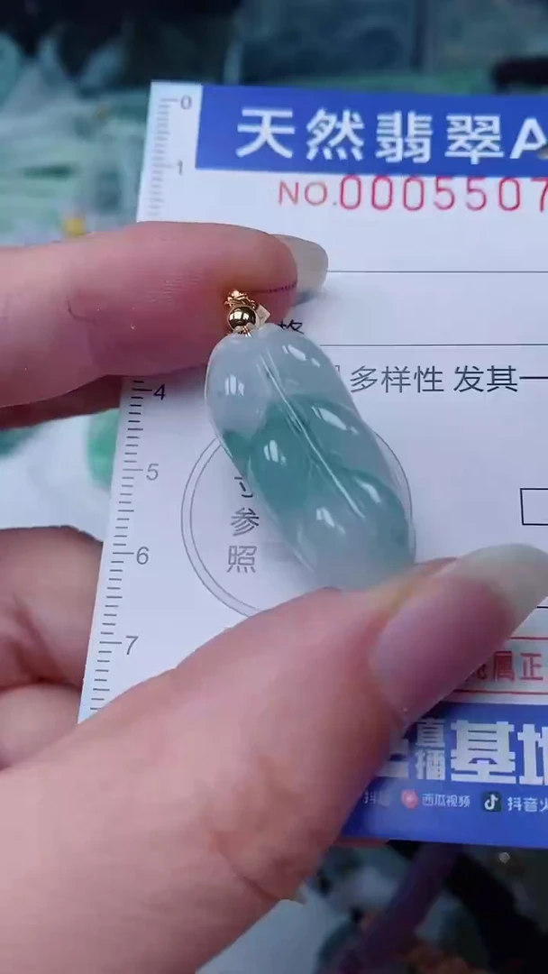 翡翠未镶嵌颈饰00005507