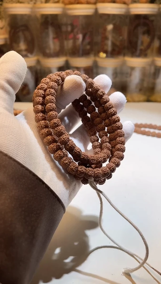 吊坠金刚菩提“天工”纯血葛地利一代盘龙8+【拒绝差评】