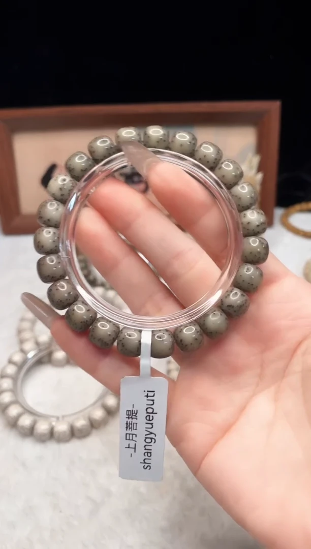 手串星月菩提I47 10X9 E06