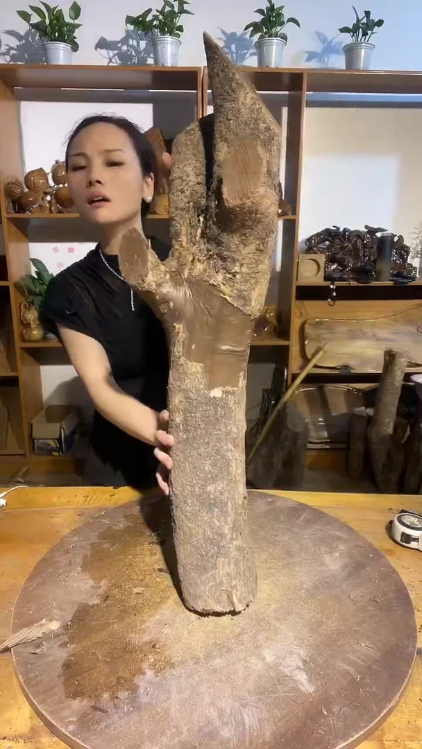 金丝楠阿祥金丝楠木闪购链接