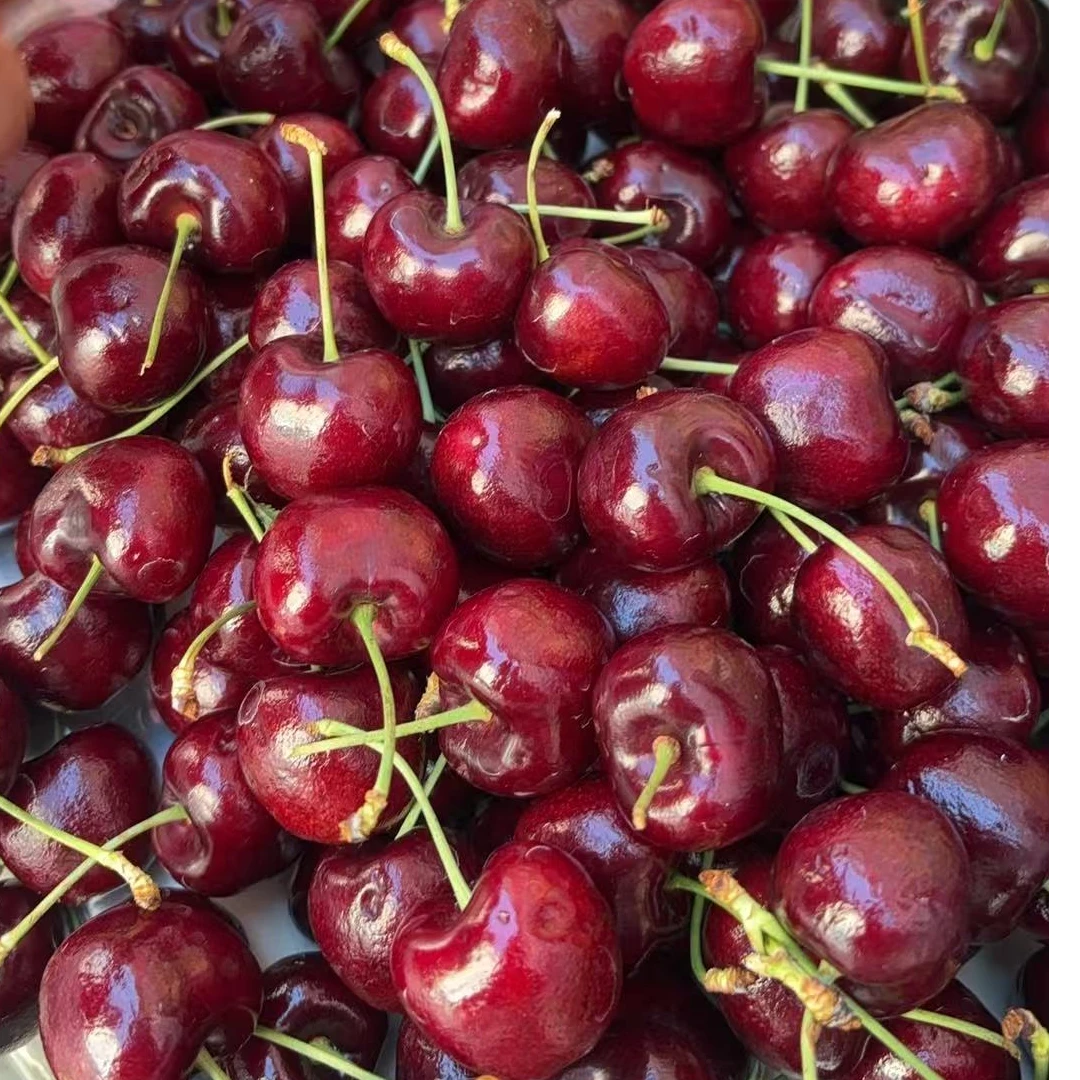 Dole/都乐金都乐车厘子拉宾斯3JD1件（原箱5斤，售后：15颗坏果以上。机械伤，软果，压痕不属于坏果。介意勿拍）