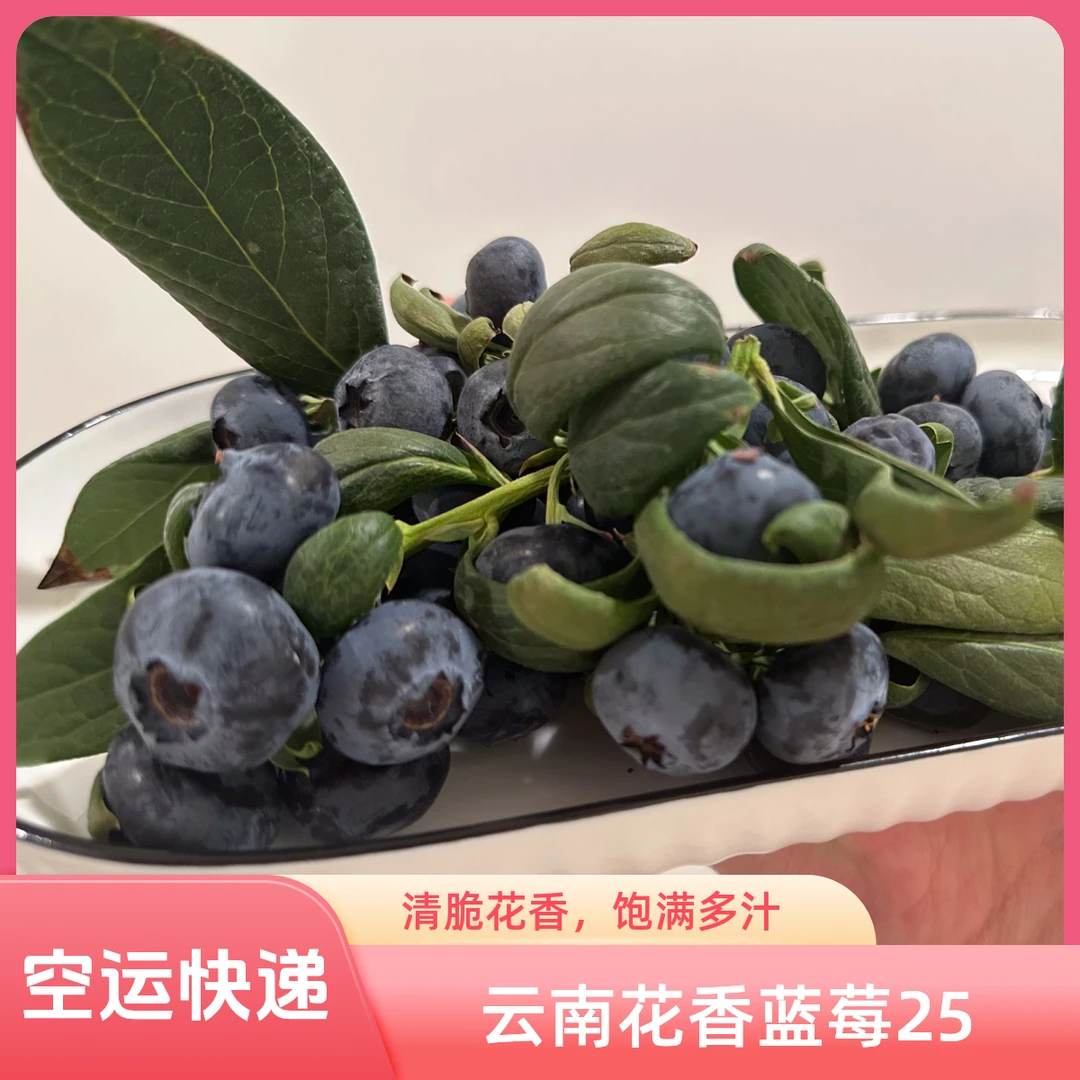 【店铺促销】云南花香蓝莓25空运快递宝宝辅食当日采摘直发