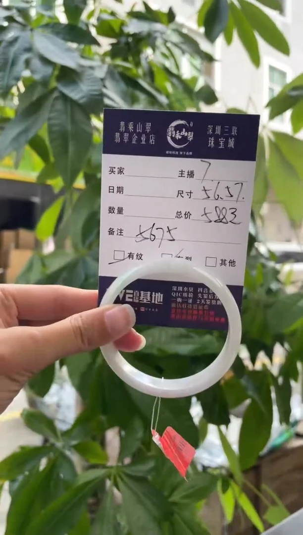 未镶嵌手镯翡翠Q 56正圈 5675