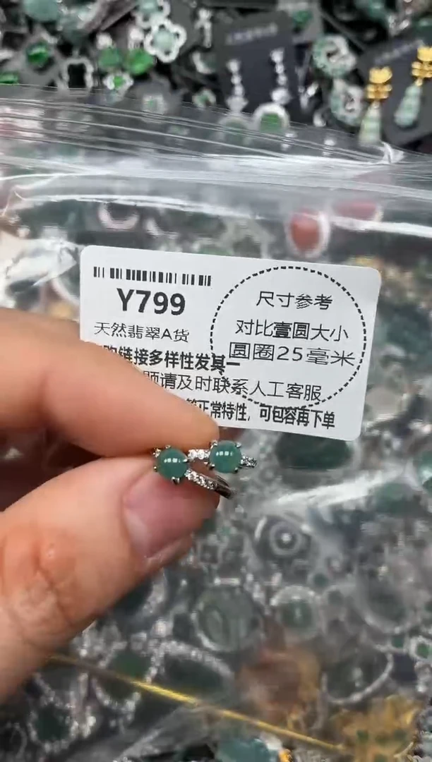 颈饰未镶嵌翡翠Y799耳扣