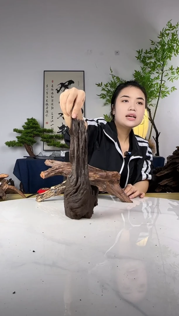 善**生拍这个定向编号26