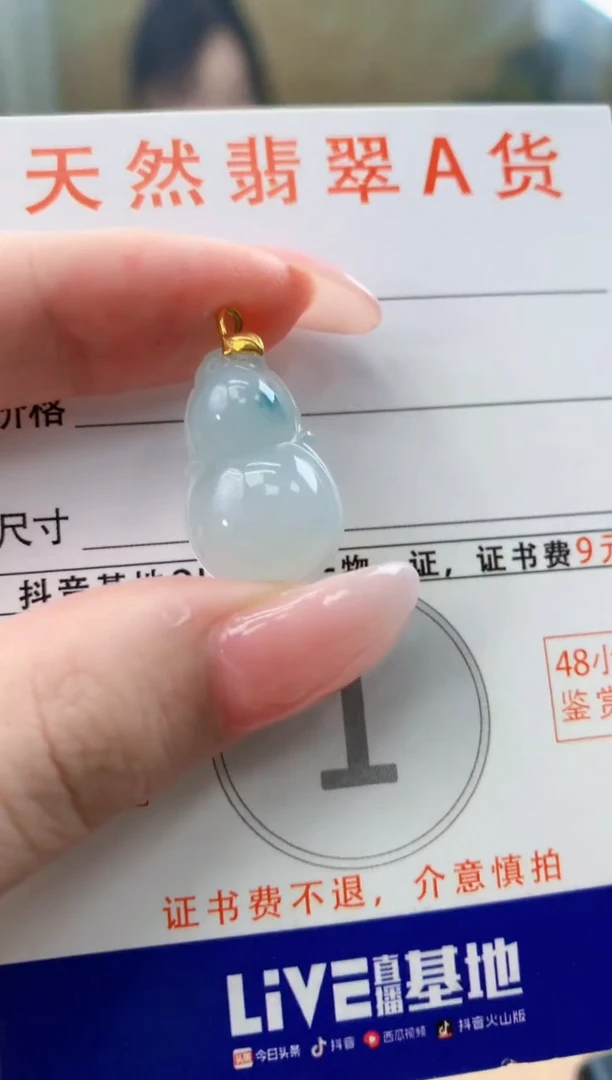 颈饰未镶嵌翡翠天然A货翡翠挂件