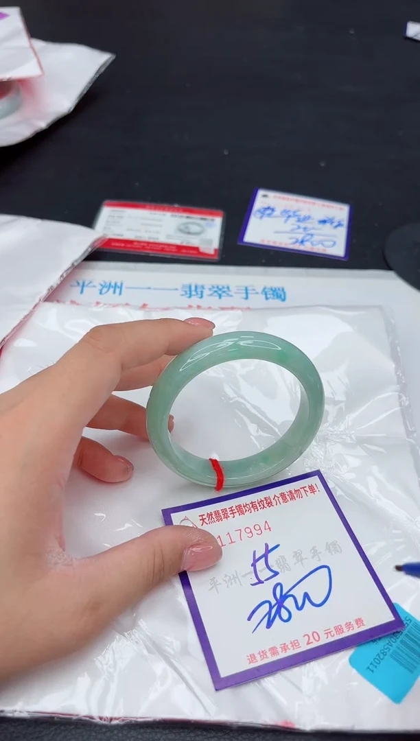 未镶嵌手镯翡翠1