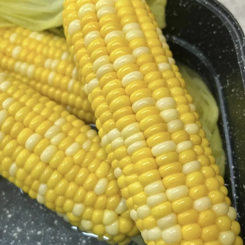 基地双色水果玉米 5根/份（400g左右/根）水果玉米云南省