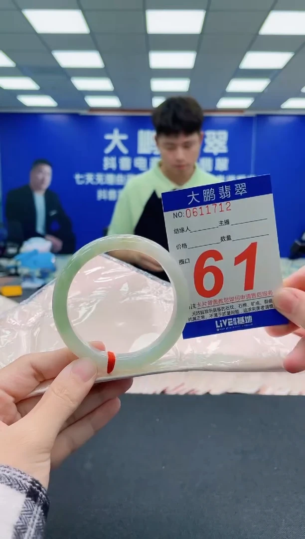 未镶嵌手镯翡翠AAAAAAAAA