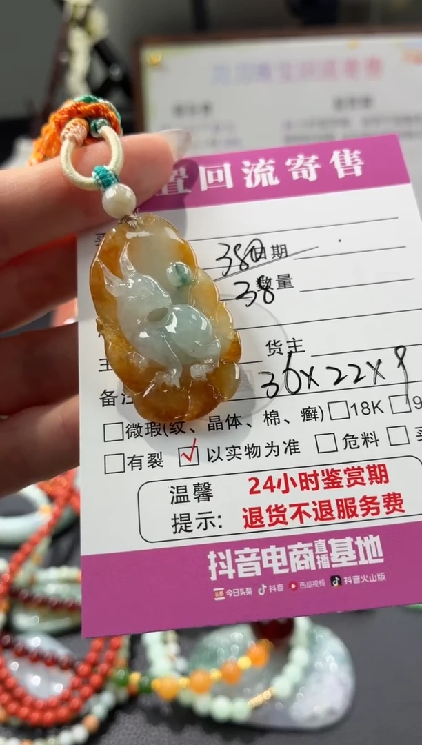 颈饰未镶嵌翡翠00002591