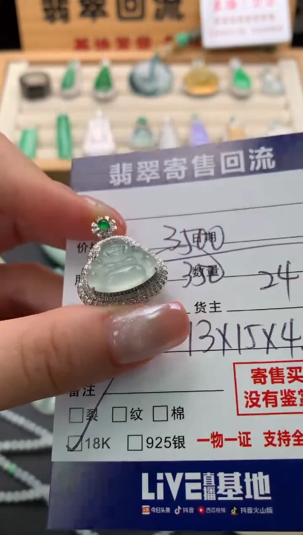 翡翠18K金镶嵌颈饰10140072