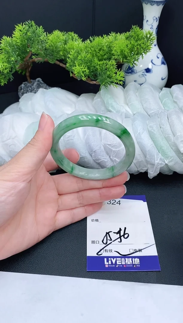未镶嵌手镯翡翠324