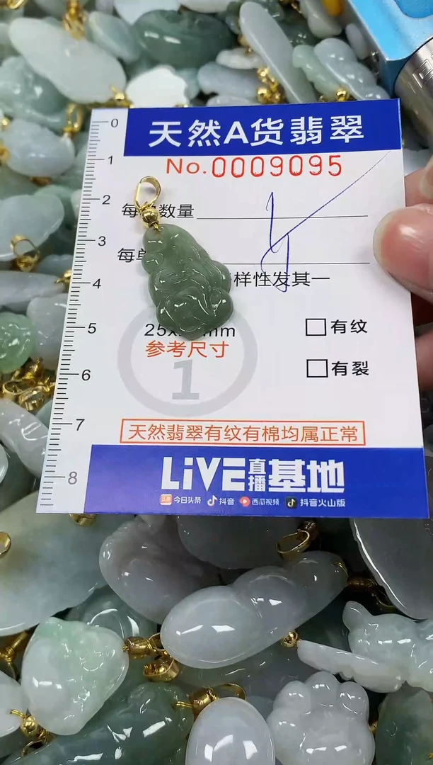 颈饰未镶嵌翡翠纯天然a货翡翠