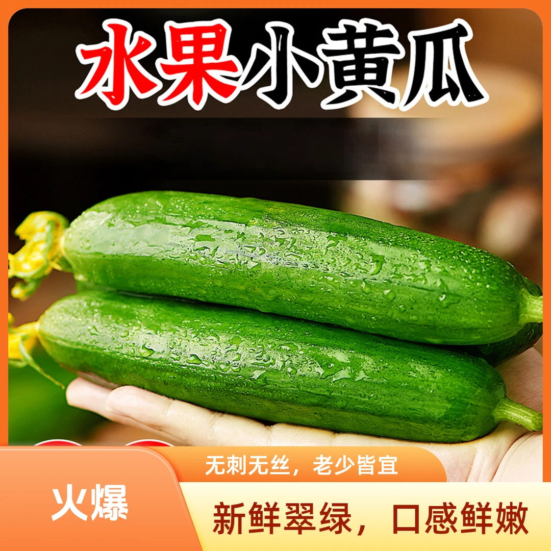 新鲜水果黄瓜 无刺小青瓜现摘现发脆甜小黄瓜生吃当季蔬菜F