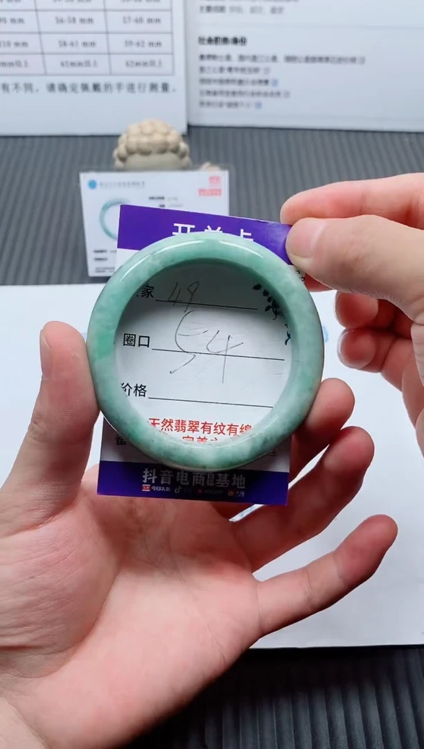 未镶嵌手镯翡翠49