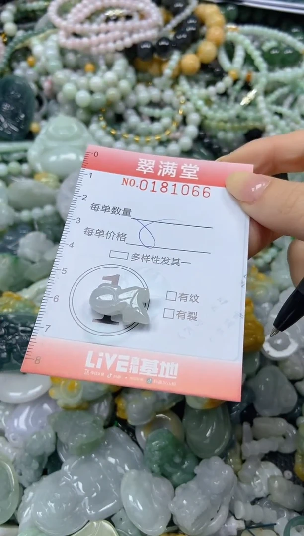 颈饰未镶嵌翡翠闪购0181066