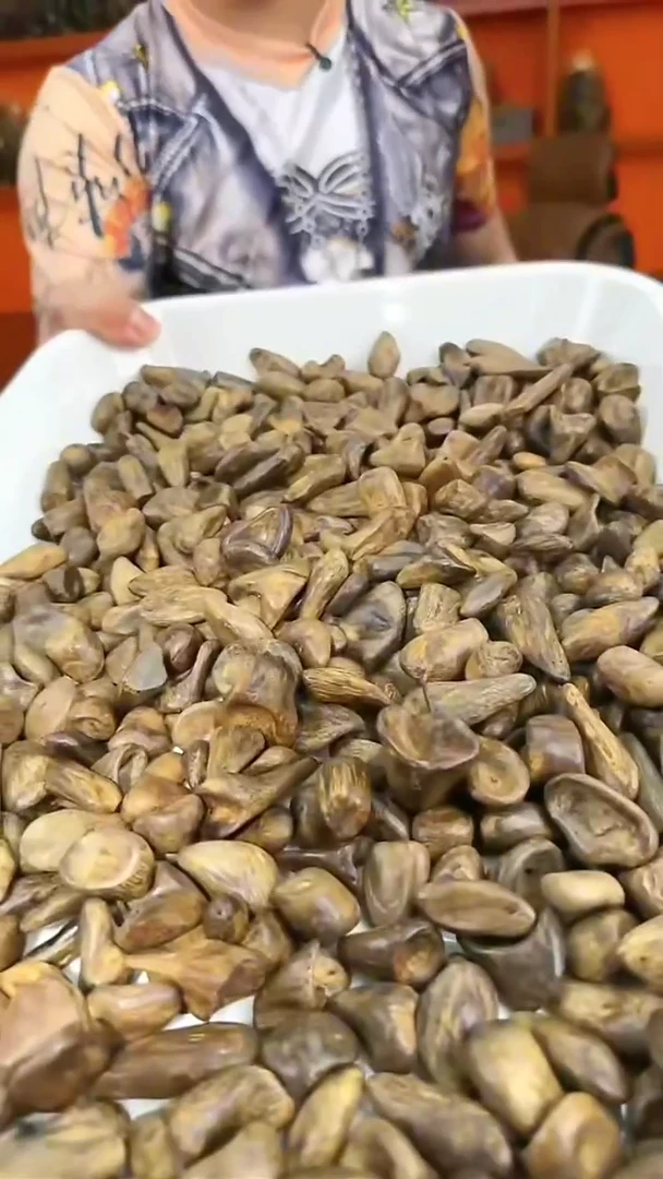 吊坠a25号沉水瘤疤舍利子3粒多样性发一