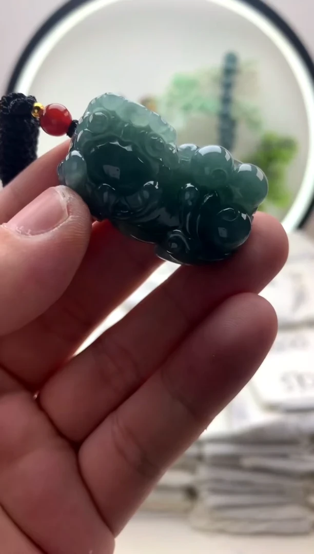 翡翠未镶嵌颈饰貔貅y