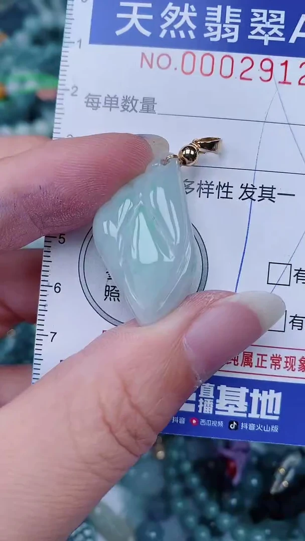 翡翠未镶嵌颈饰00002912