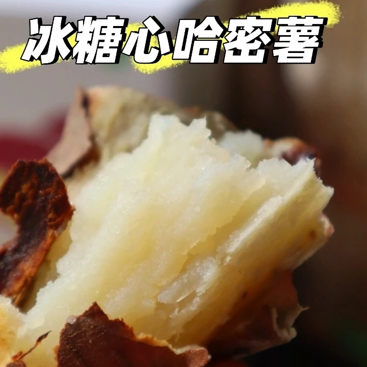 （25年新）新疆哈密冰糖薯5斤/箱新疆特产白心蜜薯新疆直发现摘现挖